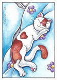 by Elaine Hughes