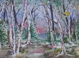 by Rhonda Shereck