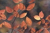 by Lynn De Serres