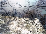 by cervantes wu