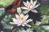 by Caroline A. Doucette