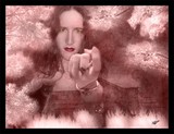by Wendy Strohschein