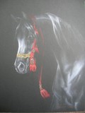 by veronica isaac