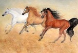 by sandy lippitt