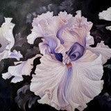 by nicolee payne
