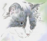 by Karen  Bonaker