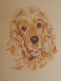by Joanne Simpson-Connor