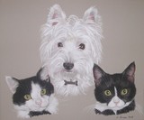 by Joanne Simpson-Connor