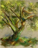 by Marilyn Barton