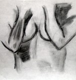 by Brandi Murphy