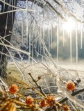 by VELYKIO - gintautas velykis -