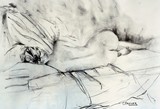 by Cyndi Brewer