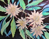 by Lori McNamara