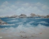 by brenda coster