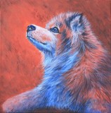 by Wendi Evans