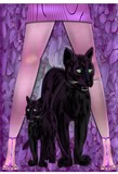 by pat hedderman
