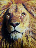 by mandy thomas