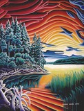 by Robert  Davies