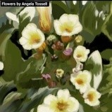 by Angela Tossell