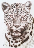 by Barbara Keith