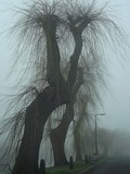 by Art 4U