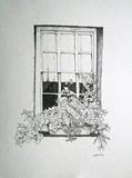 by Sara Meijer