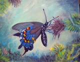 by Sandra McClure