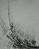 by John Biro