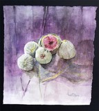 by Donatella Magara