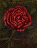 by Genevieve Bascetta
