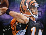 by Stephen Colyer