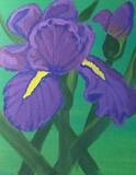 by Elizabeth Janus