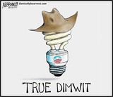 by A.F Branco