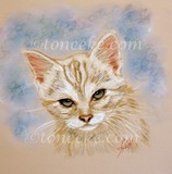 by Toneeke Runinwater Henderson