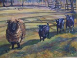 by Joan  Wulff