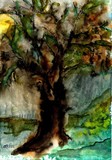 by metin topa