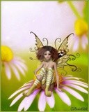 by Paula Hogan