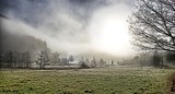 by JAN OLE SÆLØEN