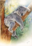 by Geraldine Simmons