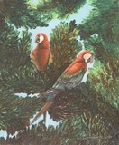 by Susan E. Wolding