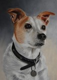 by Andrea Naylor
