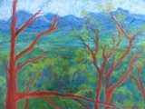 by Anna Beveridge