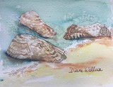 by Diane Wallace