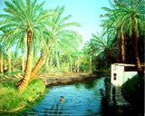 by Amani Al Hajeri