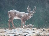 by Rick Yanke