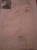 by Damayra Pacheco