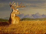 by john tukey