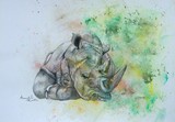 by Amanda Martin