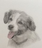 by Tracy Ference, PSA, MC-IAPS
