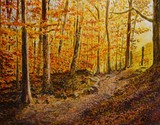 by Robert Springs